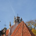 Końskowola - kościół św Anny (4)